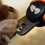 GoPets Nail Clippers for Dogs & Cats with 1 Nail File, Orange / Black