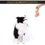 Genius Pet 7 Pack Dog Durable Hard Squeaky Animal Cute Toys - Stuffed Plush Chew Dog Toys for Small Dogs and Puppies
