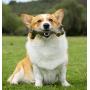 Pet Qwerks BarkBone Stick - For Aggressive Chewers
