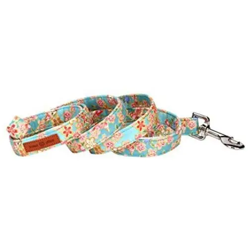 lionet paws Dog Leash,Handmade Dog Training Leash Pet Supply lionet paws Dog Leash,Handmade Dog Training Leash Pet Supply