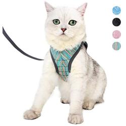 Heywean Cat Harness and Leash - Ultra Light Escape Proof Kitten Collar Cat Walking Jacket with Running Cushioning Soft and Comfortable Suitable for Puppies Rabbits