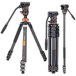 Cayer CF2451 Video Tripod 67 inches Carbon Fiber Tripod Leg with Fluid Drag Head, 4-Section Compact DSLR Tripod Convertible to Monopod for DSLR Camera, Video Camcorder