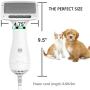 PETRIP Dog Hair Dryer Pet Dryer Professional Grooming Blower Dog Slicker Brush for Large Medium Small Dog Cat PETRIP Dog Hair Dryer Pet Dryer Professional Grooming Blower Dog Slicker Brush for Large Medium Small Dog Cat