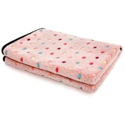 PAWZ Road Pet Dog Blanket Fleece Fabric Soft and Cute 4 Colors 4 Sizes