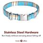 Lionet Paws Dog and Cat Collar with Bowtie,Soft and Comfortable,Adjustable Collar