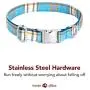Lionet Paws Dog and Cat Collar with Bowtie,Soft and Comfortable,Adjustable Collar