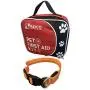 Rayco International Ltd Pet First Aid Disaster Kit w/LED Safety Collar