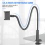 BILLKAQ Gooseneck Cell Phone Holder, 110cm Long Arms Phone Stand 360 Flexible Clamp Lazy Bracket Mount Compatible with Phone 11 Pro Xs Max XR SE 8 Plus and Other 3.5"~6.5" Devices (Black)
