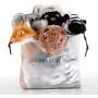PRAJNAY Dog Squeaky Toys No Stuffing, 5 Pack Crinkle Pet Chew Toys Funny Animal Interactive Plush Puppy Toys Set for Small Medium Large Dogs