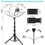 10.2" Ring Light,LED Selfie Ring Light with Stand and Phone Holder(16.93 - 64.57),3 Light Modes,10 Brightness,Remote Control,Dimmable Fill Ringlight for Live Stream/Makeup/YouTube/Photography