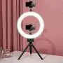 10" Ring Light with Tripod Stand & 2 Cell Phone Holder for YouTube Video & Tiktok, Lusweimi Mini Dimmable Desk Makeup Led Ringlight for Photography, Shooting and Live Streaming