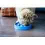 Outward Hound Fun Feeder Dog Bowl