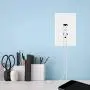 The Charger Safe, Dual USB Outlet with Protective Faceplate to Organize Your Phone Chargers The Charger Safe, Dual USB Outlet with Protective Faceplate to Organize Your Phone Chargers