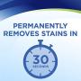 Woolite INSTAclean Permanent Stain Remover, 22oz (Pack of 2), 21799