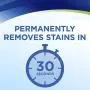 Woolite INSTAclean Permanent Stain Remover, 22oz (Pack of 2), 21799 Woolite INSTAclean Permanent Stain Remover, 22oz (Pack of 2), 21799