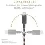 Native Union Night Cable - 10ft Ultra-Strong Reinforced [Apple MFi Certified] Durable Lightning to USB Charging Cable with Weighted Knot for iPhone/iPad (Zebra)