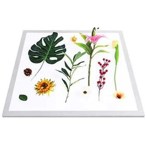 MACTING LED Shadowless Light Lamp Panel Photo Studio Fill Light 22.8in X 22.8in 7500k Dimmable Photography Softbox Bottom Light with US Plug for Food Jewelry Crafts Cosmetic. MACTING LED Shadowless Light Lamp Panel Photo Studio Fill Light 22.8in X 22.8in 7500k Dimmable Photography Softbox Bottom Light with US Plug for Food Jewelry Crafts Cosmetic.