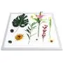 MACTING LED Shadowless Light Lamp Panel Photo Studio Fill Light 22.8in X 22.8in 7500k Dimmable Photography Softbox Bottom Light with US Plug for Food Jewelry Crafts Cosmetic. MACTING LED Shadowless Light Lamp Panel Photo Studio Fill Light 22.8in X 22.8in 7500k Dimmable Photography Softbox Bottom Light with US Plug for Food Jewelry Crafts Cosmetic.