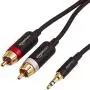 AmazonBasics 3.5mm to 2-Male RCA Adapter Audio Stereo Cable - 8 Feet AmazonBasics 3.5mm to 2-Male RCA Adapter Audio Stereo Cable - 8 Feet