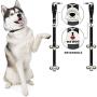 Caldwells Pet Supply Co. Potty Bells Housetraining Dog Doorbells for Dog Training and Housebreaking Your Doggy. 1.4 Inch Dog Bell with Doggie Doorbell and Potty Training for Puppies