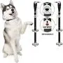 Caldwells Pet Supply Co. Potty Bells Housetraining Dog Doorbells for Dog Training and Housebreaking Your Doggy. 1.4 Inch Dog Bell with Doggie Doorbell and Potty Training for Puppies Caldwells Pet Supply Co. Potty Bells Housetraining Dog Doorbells for Dog Training and Housebreaking Your Doggy. 1.4 Inch Dog Bell with Doggie Doorbell and Potty Training for Puppies