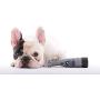 Dremel 7300-PGK 4.8V Pet Grooming Kit