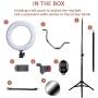 EEIEER 10" RGB Ring Light with Stand, Mini LED Dimmable Circle Light, Makeup Flash Light with Cell Phone Holder Desktop Ring Lights kit for Live Stream/Makeup/Video/Photography (Black, 10 inch)