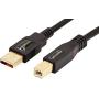 AmazonBasics USB 2.0 Printer Cable - A-Male to B-Male Cord - 10 Feet (3 Meters)