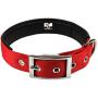 Downtown Pet Supply Deluxe Adjustable Thick Dog Collar, (Blue, Red, Black, Purple, Pink - Small, Medium, Large, or X-Large)