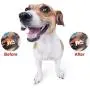 HAOPINSH Dog Treat Toy, Durable Dog Rubber Ball Dispenser Dog Chew Toys Almost Indestructible Interactive Dog Treat Ball for Large Breed Medium Dogs Teeth Cleaning Chewing Playing IQ Training HAOPINSH Dog Treat Toy, Durable Dog Rubber Ball Dispenser Dog Chew Toys Almost Indestructible Interactive Dog Treat Ball for Large Breed Medium Dogs Teeth Cleaning Chewing Playing IQ Training