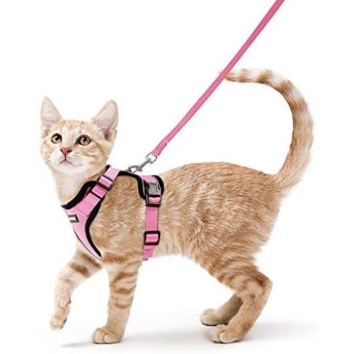 rabbitgoo Cat Harness and Leash for Walking, Escape Proof Soft Adjustable Vest Harnesses for Medium Large Cats, Easy Control Breathable Pet Safety Jacket with Reflective Strips & 1 Metal Leash Ring