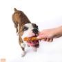 Hartz Oinkies Rawhide Free Pig Skin Dog Treat Chews