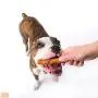 Hartz Oinkies Rawhide Free Pig Skin Dog Treat Chews