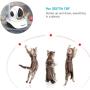 Pet Camera, VSTARCAM Dog Camera with Laser Wireless Cat Camera 1080P Baby Monitor Camera with 2 Way Audio, Night Vision Sound Motion Alerts, APP Remote Control Home Security Camera for Pet & Baby
