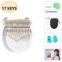 Kalimba Thumb Piano 17 Keys, Portable Crystal Acrylic Made Artwork Finger Piano with EVA Waterproof Hard Protective Case, Gift for Kids Adult Beginners