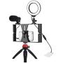 PULUZ 4 in 1 Vlogging Live Broadcast Smartphone Video Rig + 4.6 inch Ring LED Selfie Light Kits with Microphone + Tripod Mount + Cold Shoe Tripod Head for Smart Phone (Red)