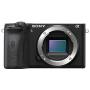 Sony Alpha A6600 Mirrorless Camera