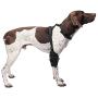 Caldera Pet Therapy Universal Wrap Carpal/Elbow with Gel, Medium, Black (PET205)