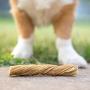 Nature Gnaws Tripe Twists for Dogs - Premium Natural Beef Sticks - Simple Single Ingredient Crunchy Dog Chew Treats - Rawhide Free