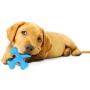 Nylabone Puppy Chew Gentle Chewing Puppy X Bone Small Beef Flavored Chew Toy, Small/Regular, Blue, Model:NPX200P