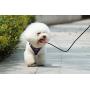 Voyager Step-in Air Dog Harness - All Weather Mesh, Step in Vest Harness for Small and Medium Dogs by Best Pet Supplies