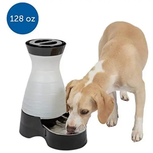 PetSafe Healthy Pet Gravity Pet Food or Water Station, Dog and Cat Feeder or Waterer PetSafe Healthy Pet Gravity Pet Food or Water Station, Dog and Cat Feeder or Waterer