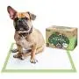 Pogis Training Pads - Large, Super-Absorbent, Earth-Friendly Puppy Pee Pads for Dogs Pogis Training Pads - Large, Super-Absorbent, Earth-Friendly Puppy Pee Pads for Dogs
