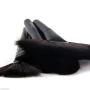 Makeup Brushes - VANDER Professional 32pcs Makeup Brush Set Black