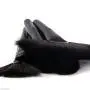 Makeup Brushes - VANDER Professional 32pcs Makeup Brush Set Black