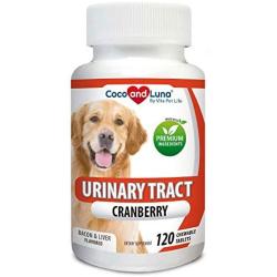 Cranberry for Dogs - Urinary Tract Support, Prevents UTI, Bladder Infections, Bladder Stones and Dog Incontinence. Antibacterial - 120 Natural Chew-able Tablets.