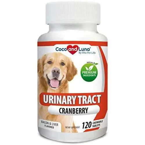 Cranberry for Dogs - Urinary Tract Support, Prevents UTI, Bladder Infections, Bladder Stones and Dog Incontinence. Antibacterial - 120 Natural Chew-able Tablets.