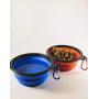 Matrose Red and Blue Dog and cat Collapsible Travel Bowls 350 ml or 12oz Perfect for Small to Medium Pets 2 Pack