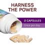 Host Defense, MyCommunity Capsules, Advanced Immune Support, Mushroom Supplement with Lion’s Mane, Reishi, Vegan, Organic, 30 Capsules (15 Servings)