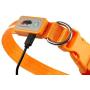 Blazin Safety LED Dog Collar – USB Rechargeable with Water Resistant Flashing Light